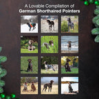 MICASA PRESS German Shorthaired Pointers 2026 Wall Calendar 12 Month | 12" x 24" Open | Thick & Sturdy Paper | Holiday Gift | Cute GSP Puppy Dog Calendar 2026