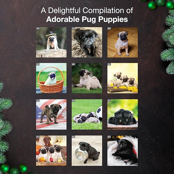 MICASA PRESS Pug Puppies 2026 Wall Calendar 12 Month | 12" x 24" Open | Thick & Sturdy Paper | Holiday Gift | Cute Puppy Dog Calendar 2026