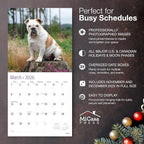 MICASA PRESS Bulldogs 2026 Wall Calendar 12 Month | 12" x 24" Open | Thick & Sturdy Paper | Holiday Gift | Cute Puppy Dog Calendar 2026