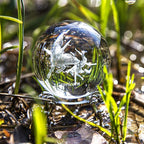 3D Laser Constellation Ball Crystal Paperweight Full Sphere Glass Fengshui with Sliver-Plated Flowering Stand(Capricorn)