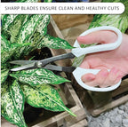 LOOPSEED Precision Gardening Scissors Plant Trimming Pruning Shears Garden Pruners for Orchid Bonsai Hydroponic Flower Clipper Garden Snip 8 Inch Long