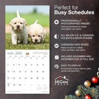 MICASA PRESS Yellow Lab Puppies 2026 Wall Calendar 12 Month | 12" x 24" Open | Thick & Sturdy Paper | Holiday Gift | Cute Labrador Retriever Puppy Dog Calendar 2026