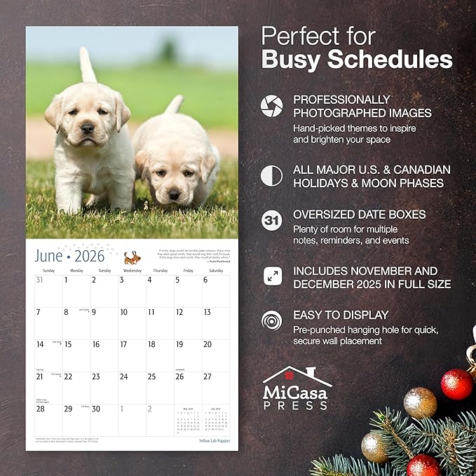 MICASA PRESS Yellow Lab Puppies 2026 Wall Calendar 12 Month | 12" x 24" Open | Thick & Sturdy Paper | Holiday Gift | Cute Labrador Retriever Puppy Dog Calendar 2026