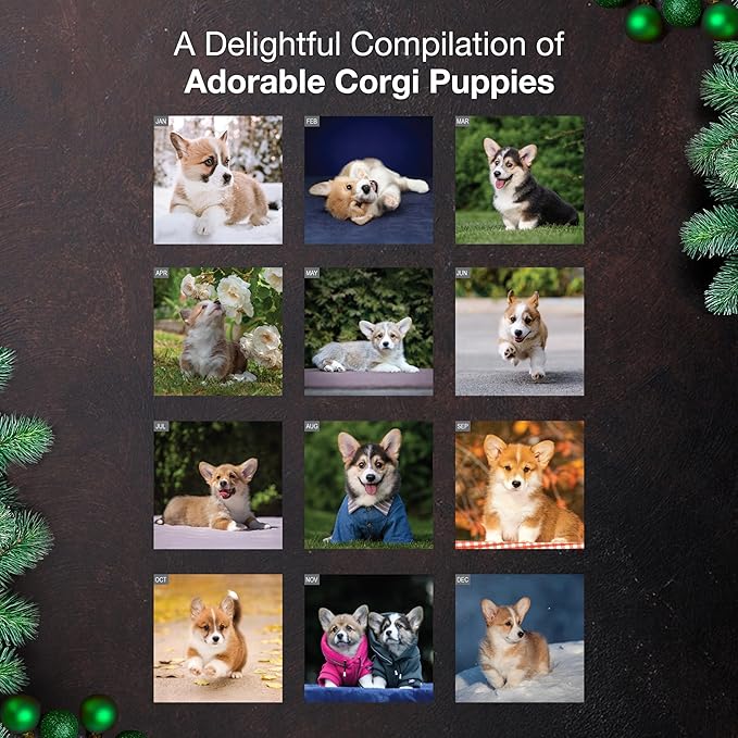 MICASA PRESS Corgi Puppies 2026 Wall Calendar 12 Month | 12" x 24" Open | Thick & Sturdy Paper | Holiday Gift | Cute Puppy Dog Calendar 2026