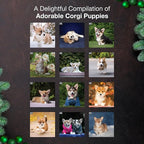MICASA PRESS Corgi Puppies 2026 Wall Calendar 12 Month | 12" x 24" Open | Thick & Sturdy Paper | Holiday Gift | Cute Puppy Dog Calendar 2026