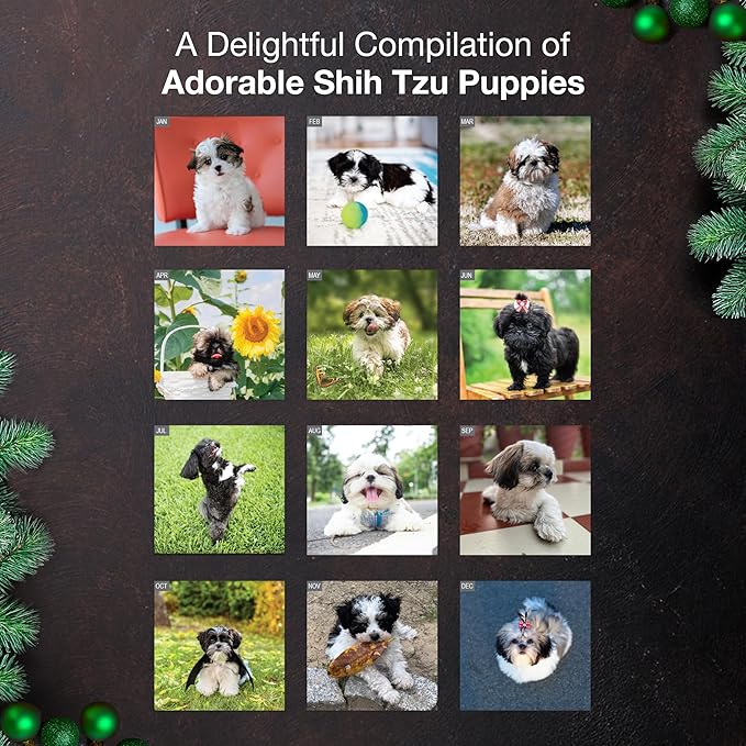 MICASA PRESS Shih Tzu Puppies 2026 Mini Wall Calendar 12 Month | 7" x 14" Open | Thick & Sturdy Paper | Holiday Gift | Cute Puppy Dog Calendar 2026