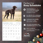 MICASA PRESS German Shorthaired Pointers 2026 Wall Calendar 12 Month | 12" x 24" Open | Thick & Sturdy Paper | Holiday Gift | Cute GSP Puppy Dog Calendar 2026