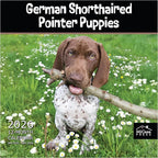 MICASA PRESS German Shorthaired Pointer Puppies 2026 Wall Calendar 12 Month | 12" x 24" Open | Thick & Sturdy Paper | Holiday Gift | Cute GSP Puppy Dog Calendar 2026
