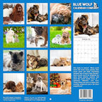 2026 Dog & Cat Friends Monthly Wall Calendar | Cute Animals Calendar 2025-2026