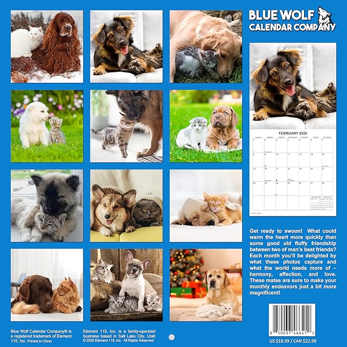 2026 Dog & Cat Friends Monthly Wall Calendar | Cute Animals Calendar 2025-2026