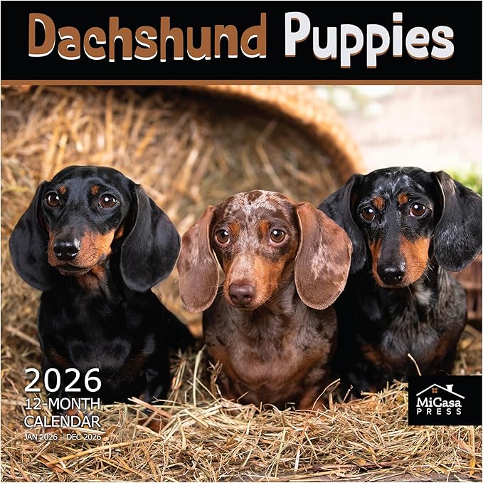 MICASA PRESS Dachshund Puppies 2026 Wall Calendar 12 Month | 12" x 24" Open | Thick & Sturdy Paper | Holiday Gift | Cute Puppy Weiner Dog Calendar 2026