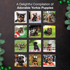 MICASA PRESS Yorkie Puppies Yorkshire Terriers 2026 Wall Calendar 12 Month | 12" x 24" Open | Thick & Sturdy Paper | Holiday Gift | Cute Puppy Dog Calendar 2026
