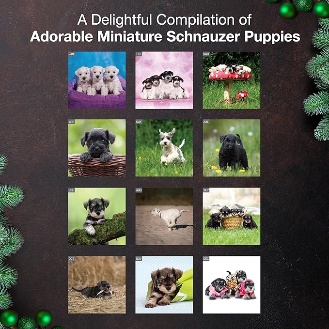 MICASA PRESS Miniature Schnauzer Puppies 2026 Wall Calendar 12 Month | 12" x 24" Open | Thick & Sturdy Paper | Holiday Gift | Cute Puppy Dog Calendar 2026