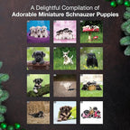 MICASA PRESS Miniature Schnauzer Puppies 2026 Wall Calendar 12 Month | 12" x 24" Open | Thick & Sturdy Paper | Holiday Gift | Cute Puppy Dog Calendar 2026
