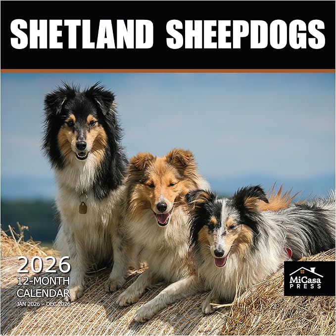 MICASA PRESS Shetland Sheepdogs 2026 Hangable Monthly Wall Calendar | 12" x 24" Open | Thick & Sturdy Paper | Holiday Gift | Cute Sheltie Puppy Dog Calendar 2026
