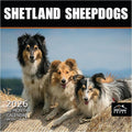 MICASA PRESS Shetland Sheepdogs 2026 Hangable Monthly Wall Calendar | 12" x 24" Open | Thick & Sturdy Paper | Holiday Gift | Cute Sheltie Puppy Dog Calendar 2026