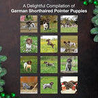 MICASA PRESS German Shorthaired Pointer Puppies 2026 Wall Calendar 12 Month | 12" x 24" Open | Thick & Sturdy Paper | Holiday Gift | Cute GSP Puppy Dog Calendar 2026