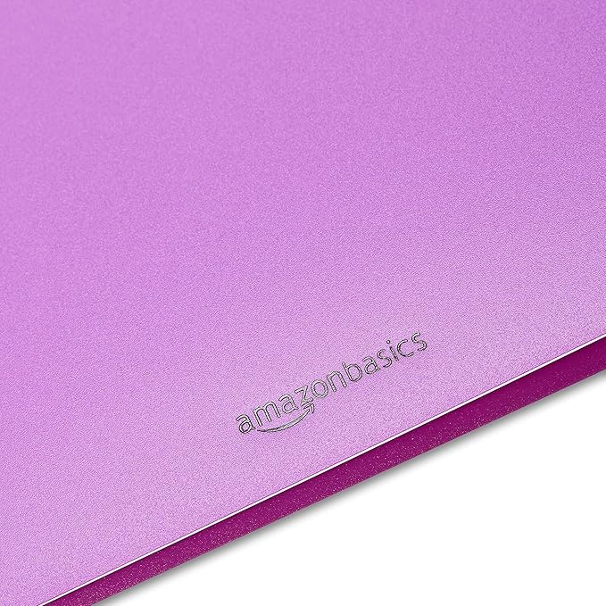 Amazon Basics Plastic 3 Hole Punch Folders with 2 Pockets, 8.5 x 11 inches, Pack of 12, Assorted Color
