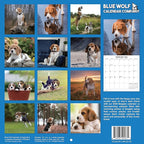 2026 Beagles Monthly Wall Calendar | Cute Dog Calendar September 2025 - December 2026