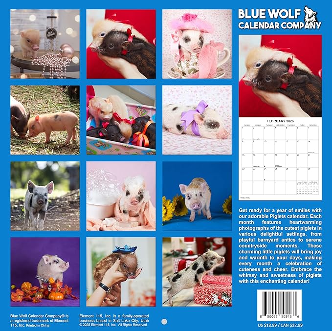 2026 Piglets Monthly Wall Calendar | Cute Baby Pigs Animal Calendar 2025-2026