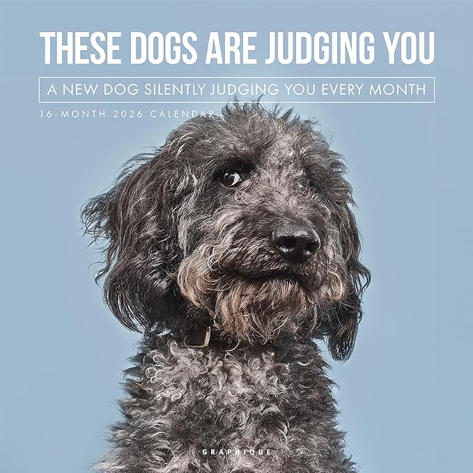 Graphique 2026 Judging Dogs Wall Calendar | 12” x 12” | Thick Paper | Home & Office Organizer | Large Monthly Grid | 3 Languages & Marked Holidays | 4 Month Preview Page for 2027