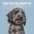 Graphique 2026 Judging Dogs Wall Calendar | 12” x 12” | Thick Paper | Home & Office Organizer | Large Monthly Grid | 3 Languages & Marked Holidays | 4 Month Preview Page for 2027
