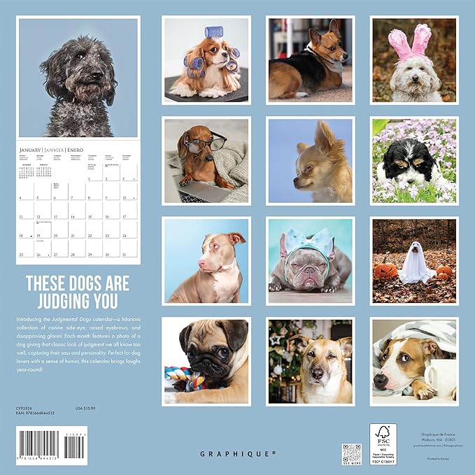 Graphique 2026 Judging Dogs Wall Calendar | 12” x 12” | Thick Paper | Home & Office Organizer | Large Monthly Grid | 3 Languages & Marked Holidays | 4 Month Preview Page for 2027
