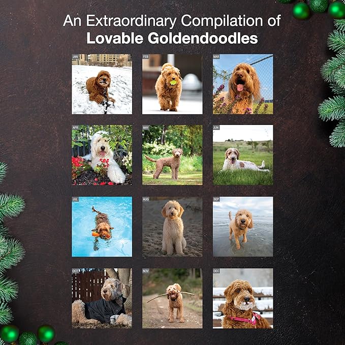 MICASA PRESS Goldendoodles 2026 Wall Calendar 12 Month | 12" x 24" Open | Thick & Sturdy Paper | Holiday Gift | Cute Puppy Dog Calendar 2026