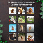 MICASA PRESS Goldendoodles 2026 Wall Calendar 12 Month | 12" x 24" Open | Thick & Sturdy Paper | Holiday Gift | Cute Puppy Dog Calendar 2026