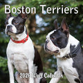 2026 Boston Terriers Monthly Wall Calendar | Dog Calendar September 2025- December 2026
