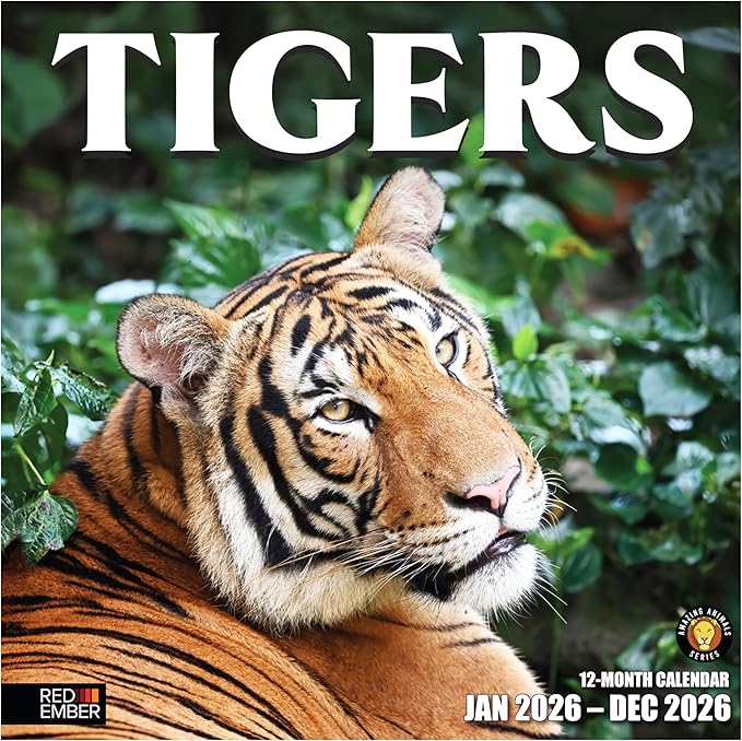 RED EMBER Tigers 2026 Wall Calendar 12 Month | 12" x 24" Open | Thick & Sturdy Paper | Holiday Gift | Big Cats Animal Calendar 2026
