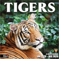 RED EMBER Tigers 2026 Wall Calendar 12 Month | 12" x 24" Open | Thick & Sturdy Paper | Holiday Gift | Big Cats Animal Calendar 2026