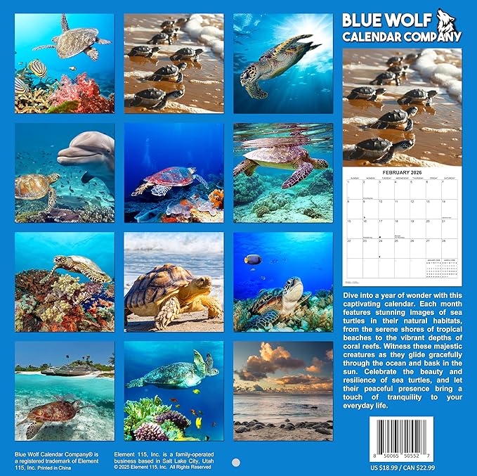 2026 Sea Turtles Monthly Wall Calendar | Cute Animals Sea Creatures Calendar 2025-2026