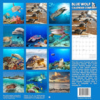 2026 Sea Turtles Monthly Wall Calendar | Cute Animals Sea Creatures Calendar 2025-2026