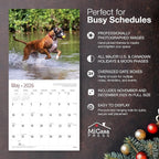 MICASA PRESS Boxers 2026 Wall Calendar 12 Month | 12" x 24" Open | Thick & Sturdy Paper | Holiday Gift | Cute Puppy Dog Calendar 2026