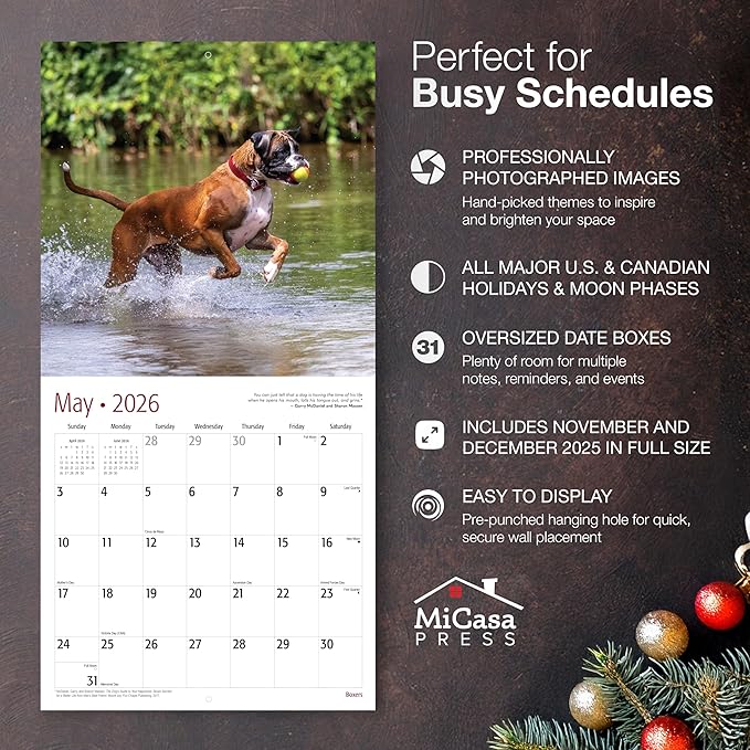 MICASA PRESS Boxers 2026 Wall Calendar 12 Month | 12" x 24" Open | Thick & Sturdy Paper | Holiday Gift | Cute Puppy Dog Calendar 2026