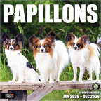 RED EMBER Papillons 2026 Wall Calendar 12 Month | 12" x 24" Open | Thick & Sturdy Paper | Holiday Gift | Cute Puppy Dog Calendar 2026