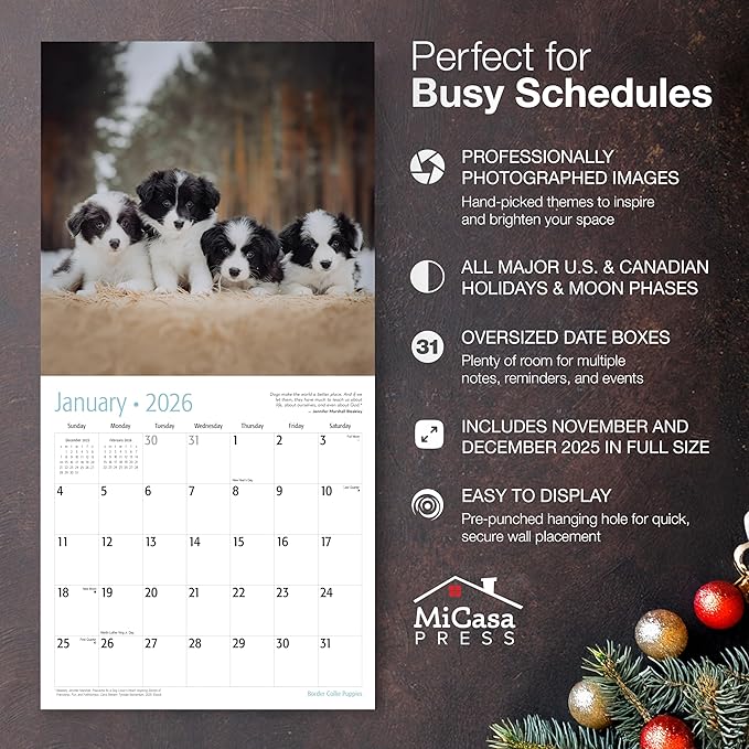 MICASA PRESS Border Collie Puppies 2026 Wall Calendar 12 Month | Thick & Sturdy Paper | Holiday Gift | Cute Puppy Dog Calendar 2026