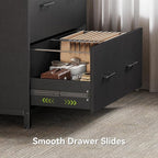 LITTLE TREE 2 Drawer File Cabinet for Home Office, 30.7-Inch Lateral Office Cabinet for A4 and Letter Size Files, Printer Stand, Storage Cabinet Organizer, Rustic Brown + Black