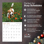 MICASA PRESS Jack Russell Terriers 2026 Wall Calendar 12 Month | 12" x 24" Open | Thick & Sturdy Paper | Holiday Gift | Cute Puppy Dog Calendar 2026