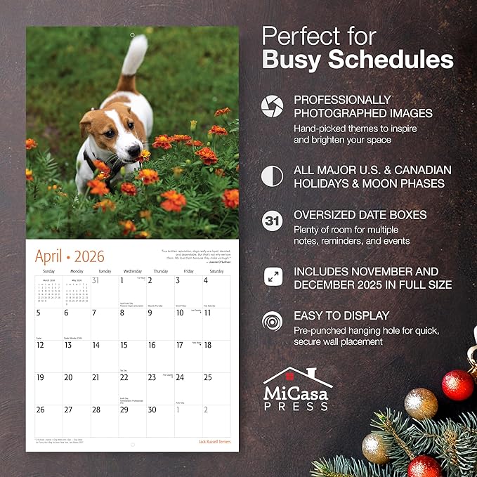 MICASA PRESS Jack Russell Terriers 2026 Wall Calendar 12 Month | 12" x 24" Open | Thick & Sturdy Paper | Holiday Gift | Cute Puppy Dog Calendar 2026
