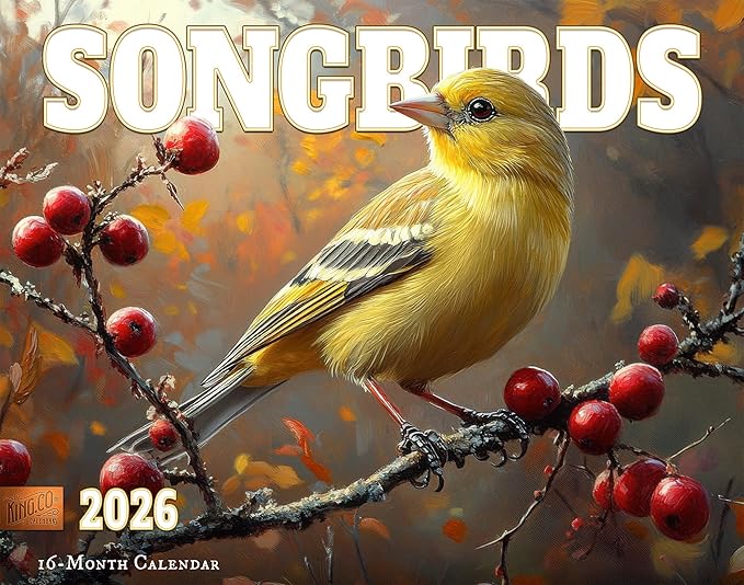 2026 Songbirds Wall Calendar 16-Month X-Large Size 14x22, Illustrated Bird Calendar by The KING Company-Monster Calendars