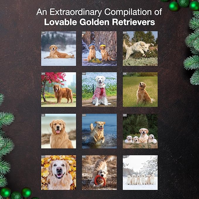 MICASA PRESS Golden Retrievers 2026 Wall Calendar 12 Month | 12" x 24" Open | Thick & Sturdy Paper | Holiday Gift | Cute Puppy Dog Calendar 2026