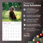 MICASA PRESS Labs 2026 Wall Calendar 12 Month | 12" x 24" Open | Thick & Sturdy Paper | Holiday Gift | Cute Labrador Retriever Puppy Dog Calendar 2026