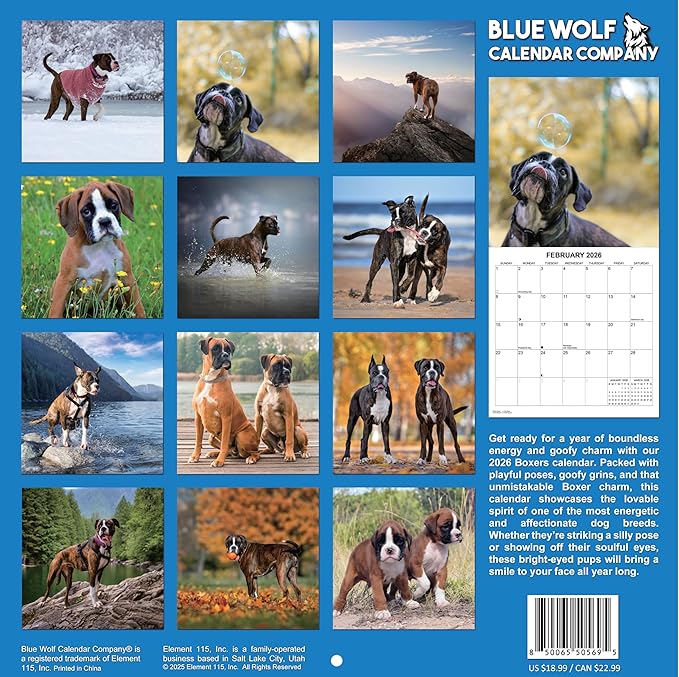 2026 Boxers Monthly Wall Calendar | Boxer Dog Breed 2026 Wall Calendar 2025-2026