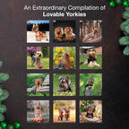 MICASA PRESS Yorkies Yorkshire Terriers 2026 Wall Calendar 12 Month | 12" x 24" Open | Thick & Sturdy Paper | Holiday Gift | Cute Puppy Dog Calendar 2026