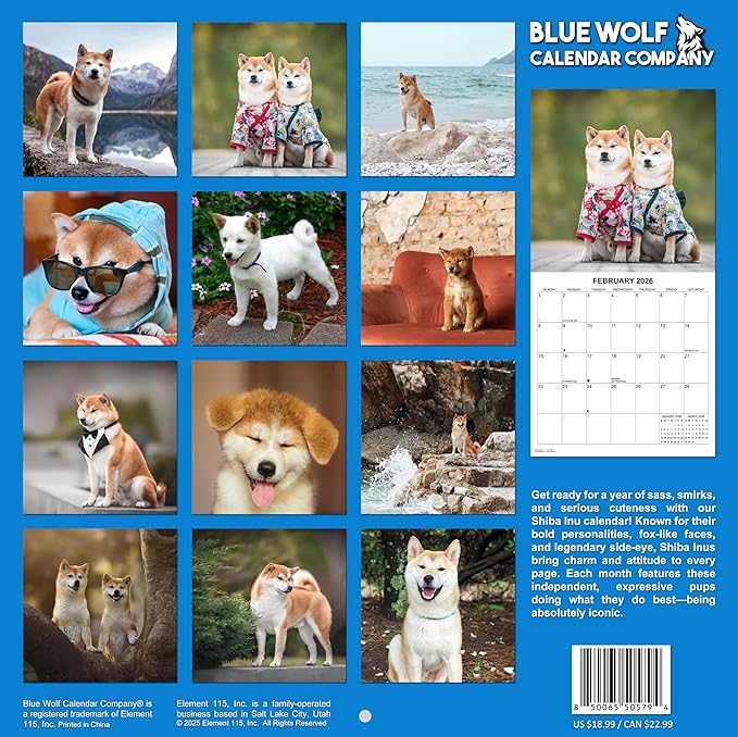 2026 Shiba Inus Monthly Wall Calendar | Cute Dogs 2026 Wall Calendar 2025-2026