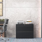 mysteeldepot 2 Drawer Lateral File Cabinet with Lock, File Cabinet, Metal Lateral Filing Cabinets for Home Office, File Storage Cabinet for Legal/Letter/A4 Documents, Assembly Required (Black, 35'W)
