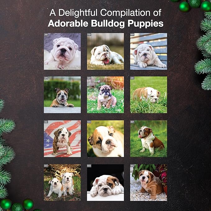MICASA PRESS Bulldog Puppies 2026 Wall Calendar 12 Month | 12" x 24" Open | Thick & Sturdy Paper | Holiday Gift | Cute Puppy Dog Calendar 2026