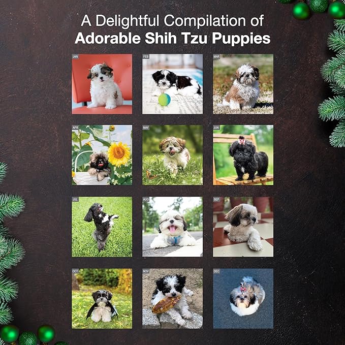 MICASA PRESS Shih Tzu Puppies 2026 Wall Calendar 12 Month | 12" x 24" Open | Thick & Sturdy Paper | Holiday Gift | Cute Puppy Dog Calendar 2026
